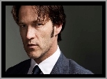 True Blood, Stephen Moyer